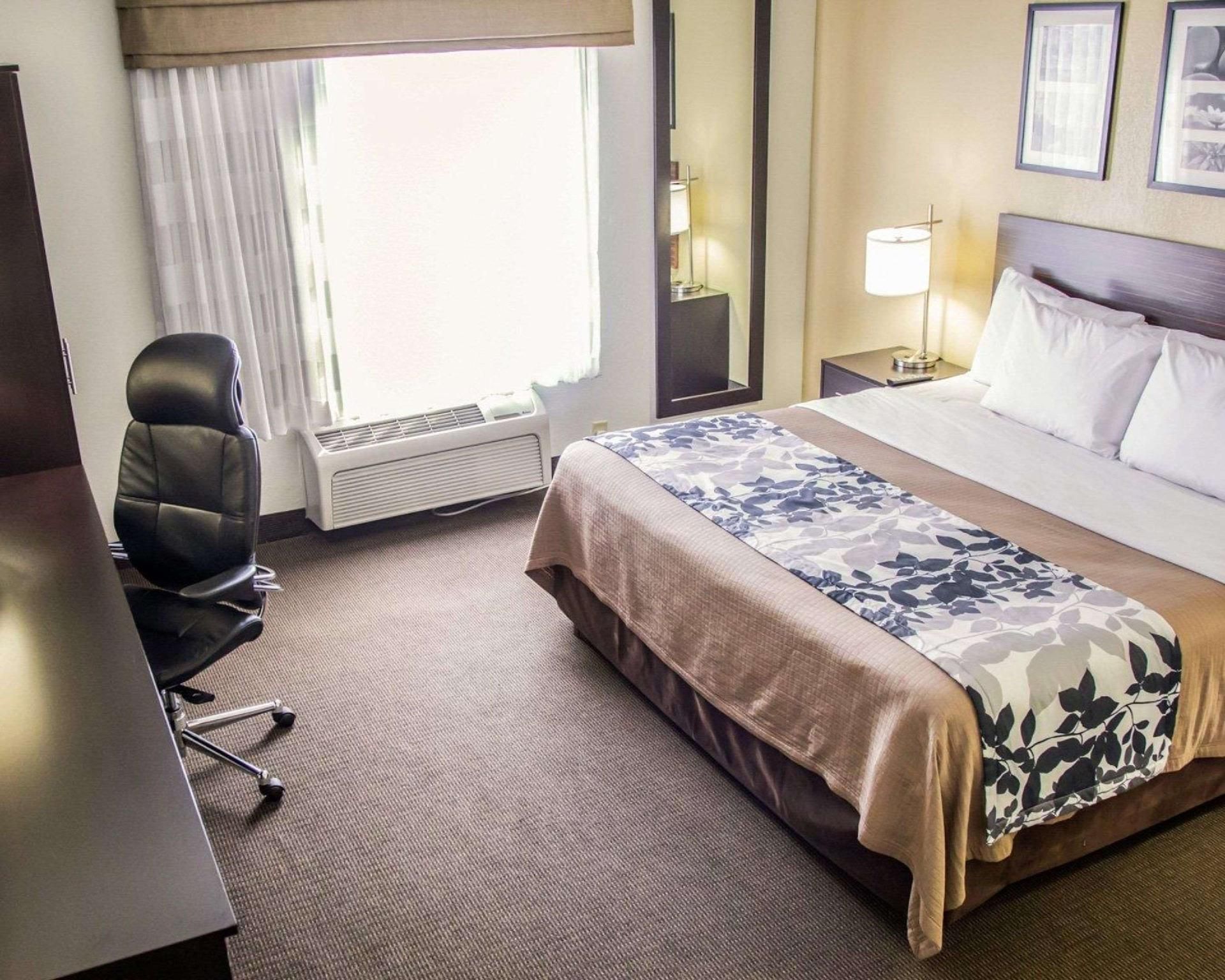 1 Bedroom Suite