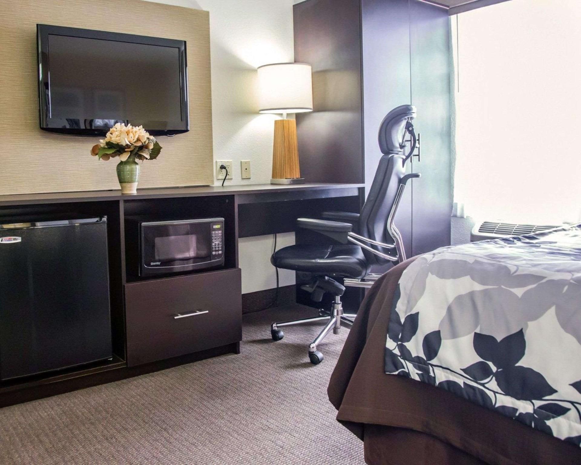 1 Queen Bed, Nonsmoking, Accessible