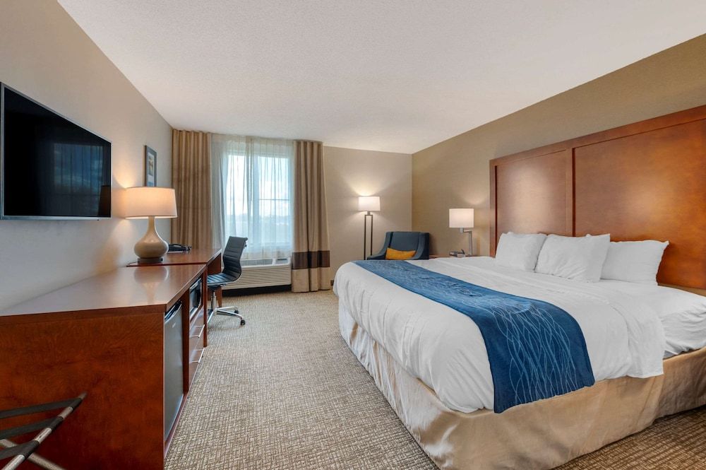 Standard Room, 1 King Bed, Non Smoking