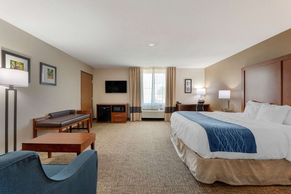 Suite, 1 King Bed with Sofa bed, Non Smoking (Efficiency)