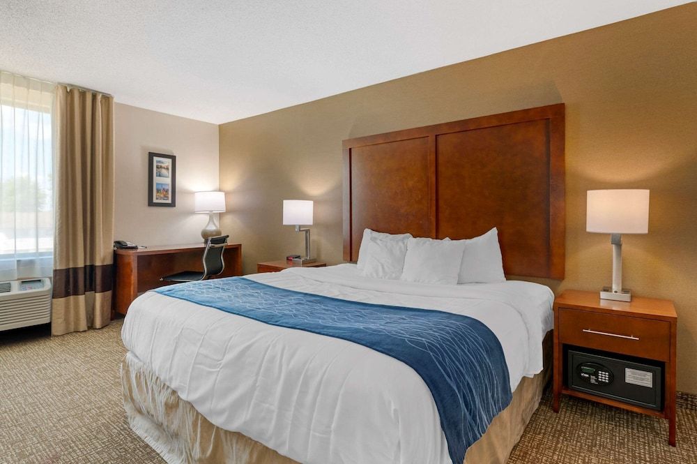 Suite, 1 King Bed with Sofa bed, Non Smoking (Efficiency)
