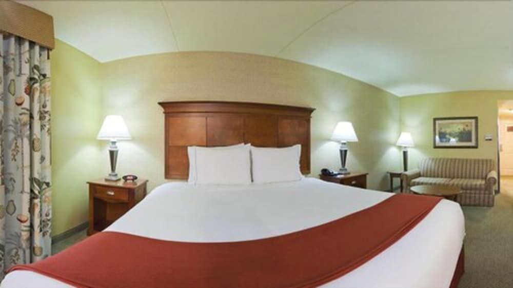 Standard Room, 1 King Bed with Sofa bed, Jetted Tub