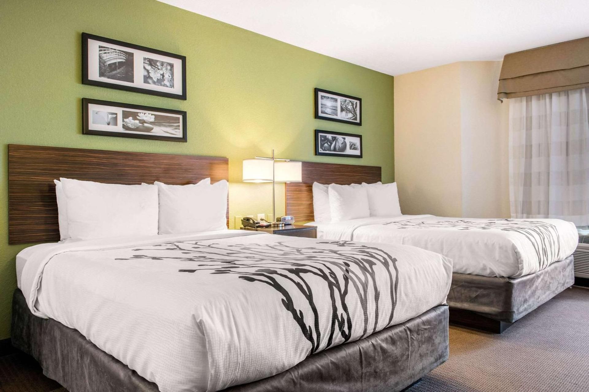 1 Queen Bed, Nonsmoking, Accessible