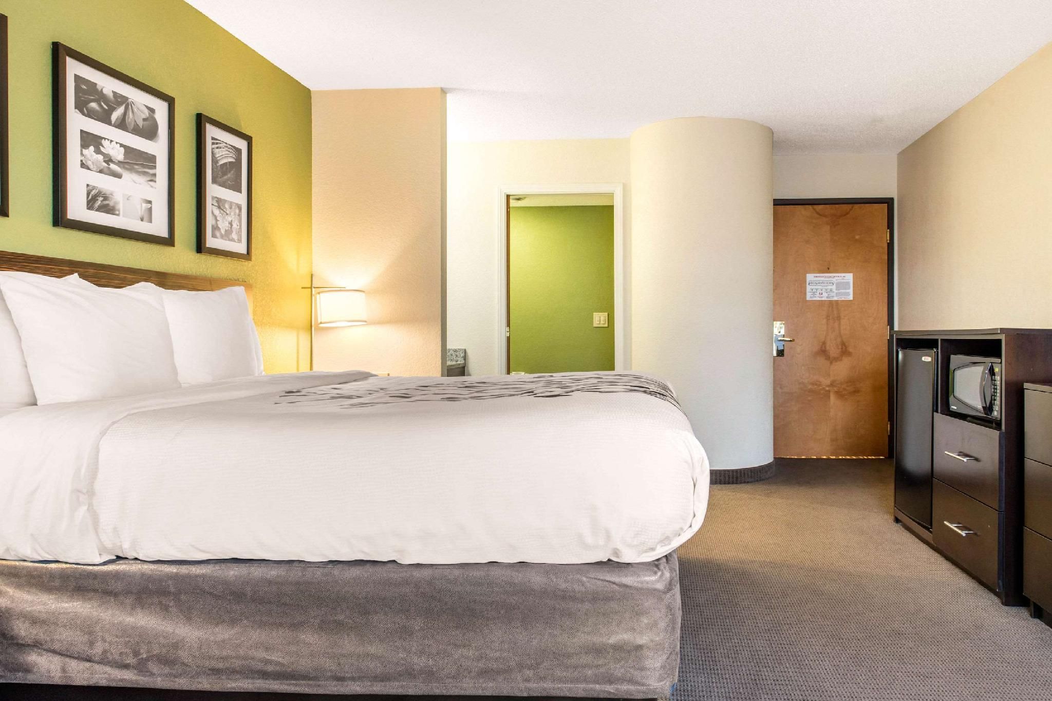1 King Bed, Nonsmoking