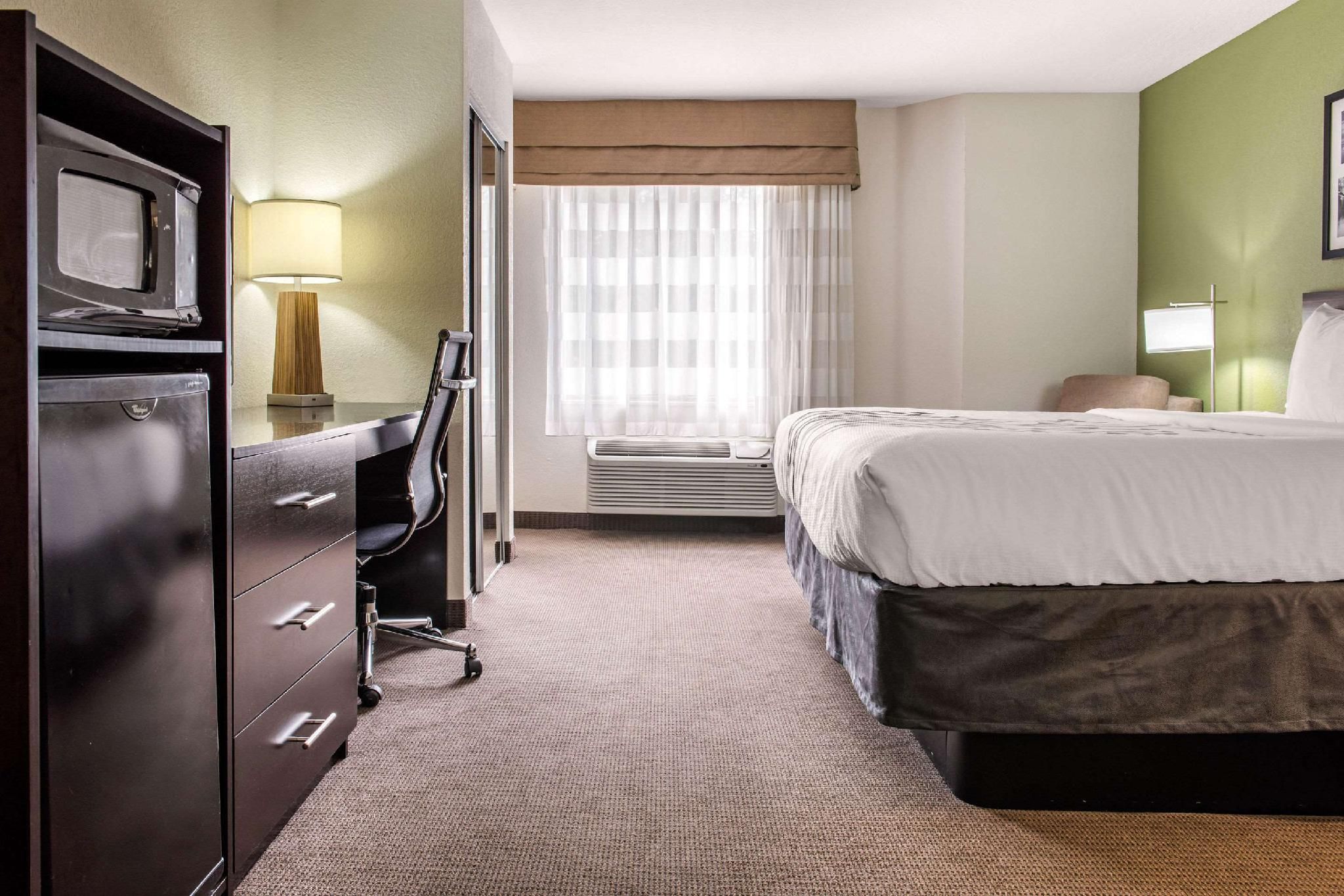 1 King Bed, Suite, Nonsmoking