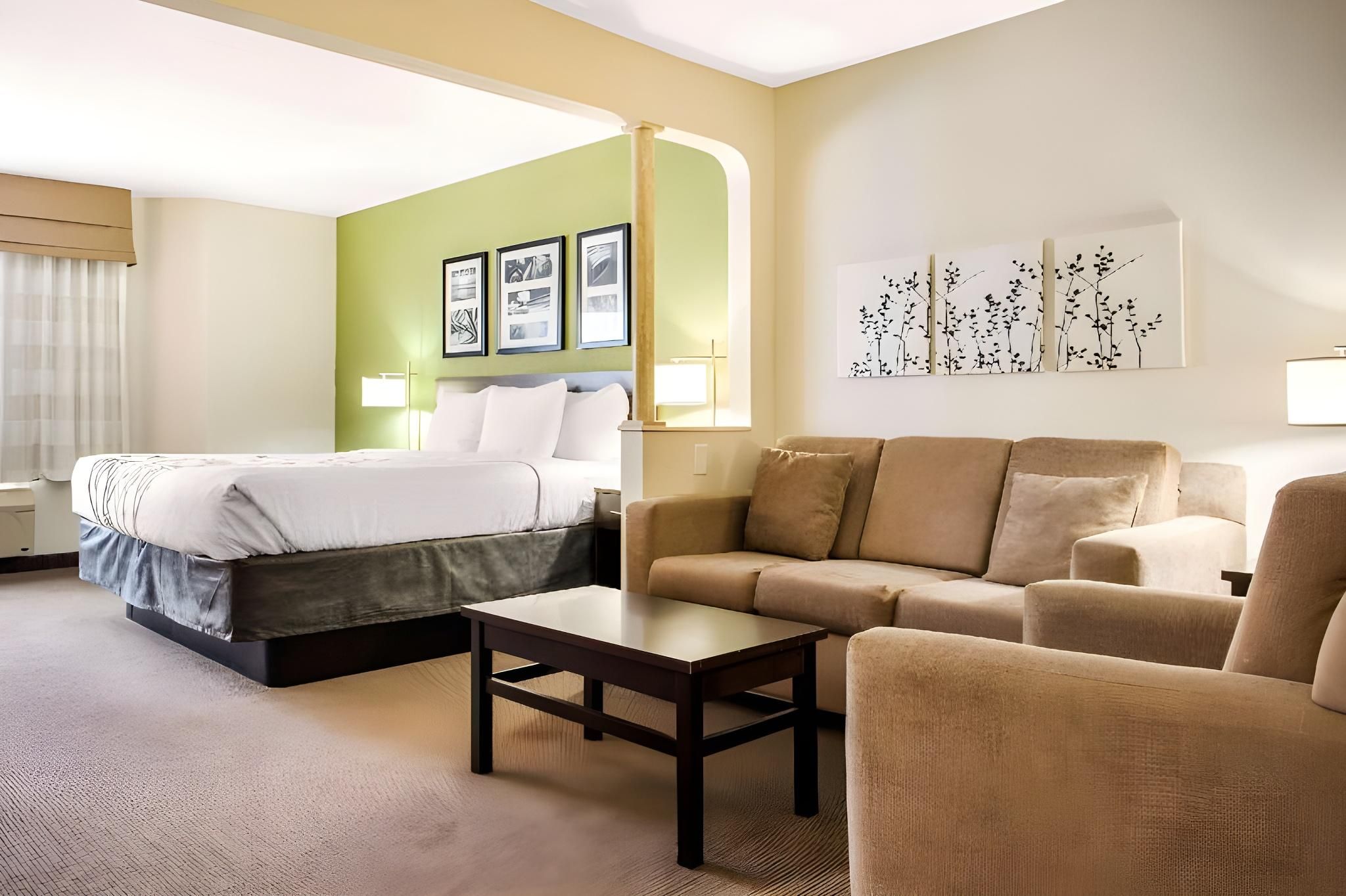 1 King Bed, Suite, Nonsmoking