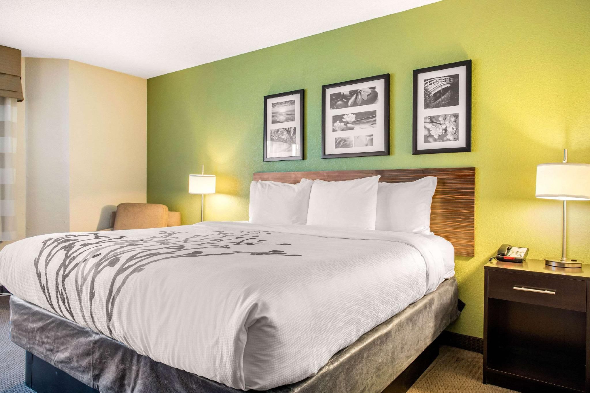 1 King Bed, Nonsmoking