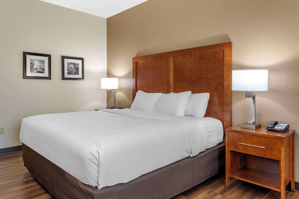 Room, 1 King Bed, Accessible, Non Smoking