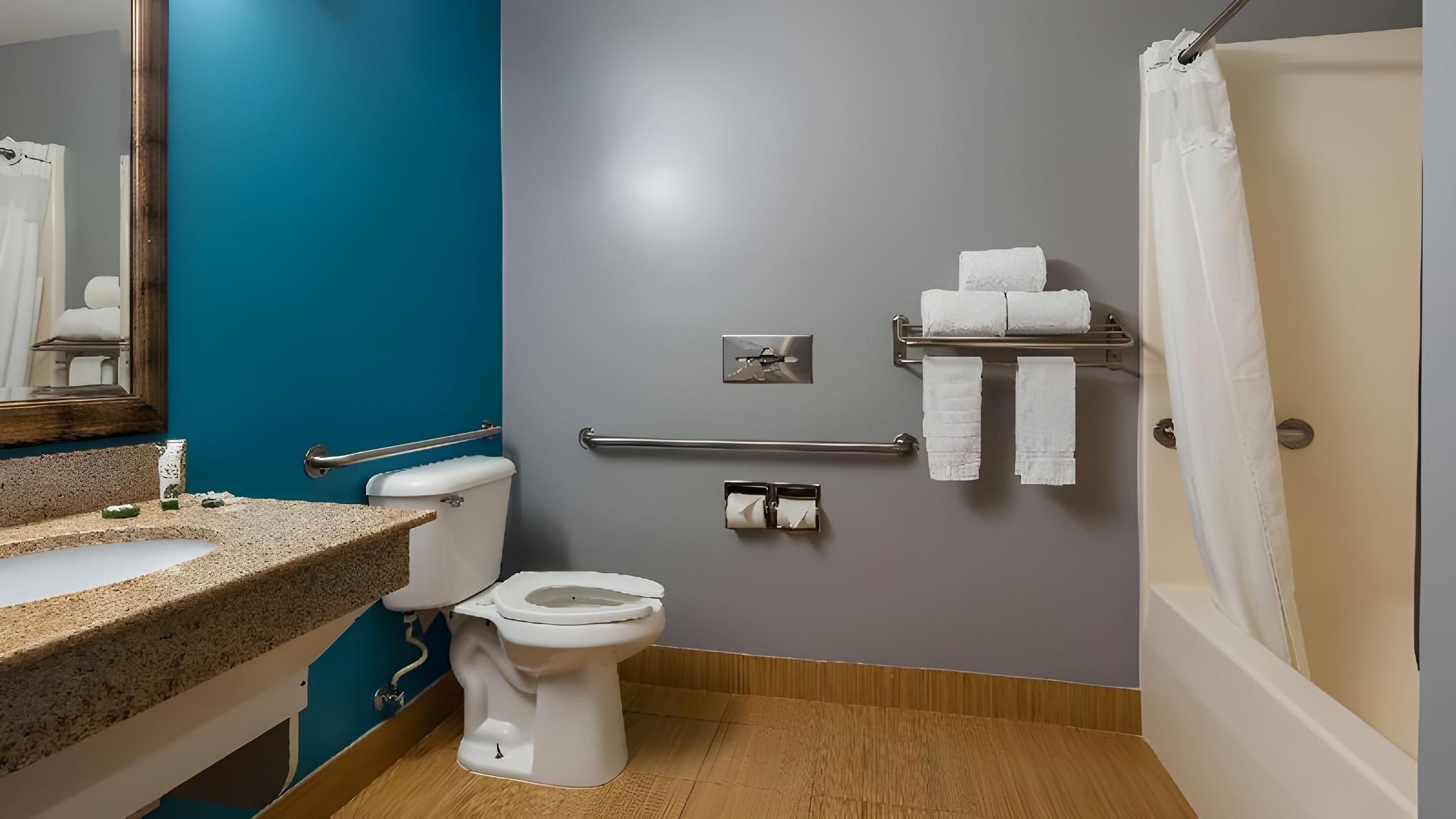 1 King Bed, Nonsmoking, Accessible