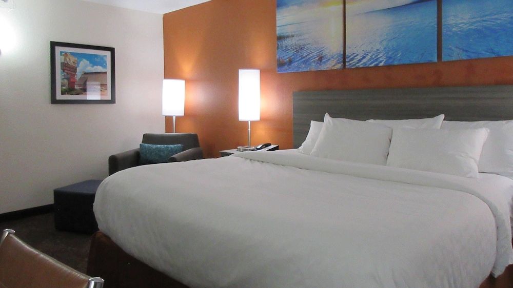 Clarion Pointe Evansville North Suite, 1 King Bed, Non Smoking 4