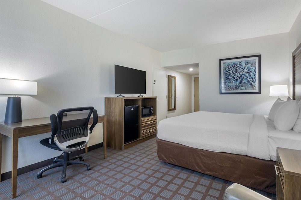 Standard Room, 1 King Bed, Accessible, Refrigerator & Microwave