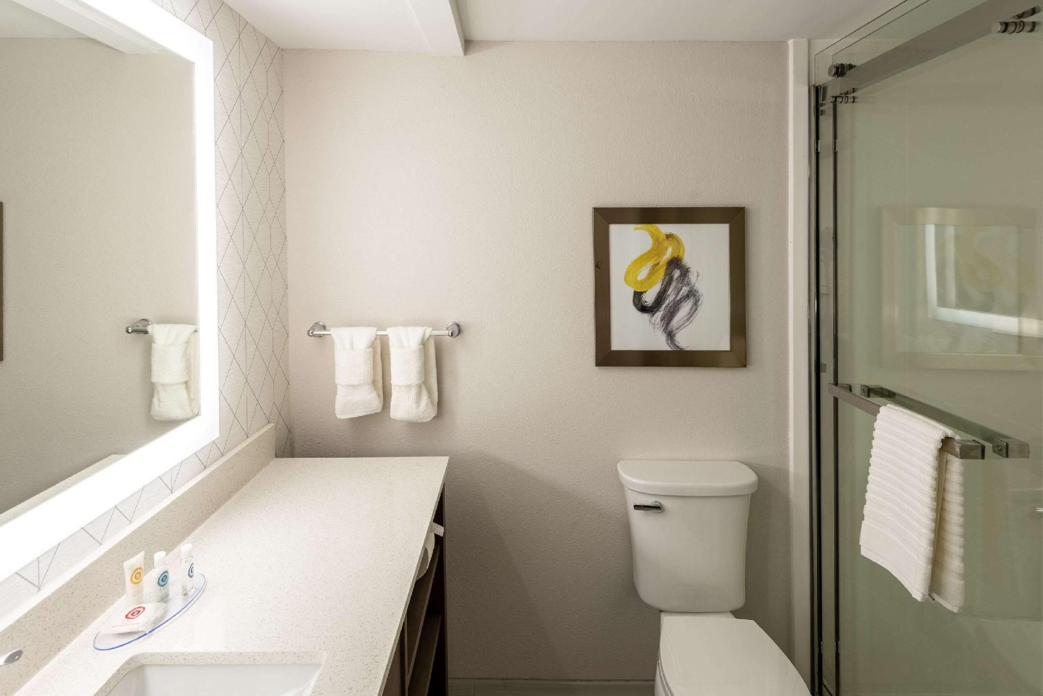 Comfort Inn & Suites Fishers - Indianapolis 1 King Bed,Non-Smoking, Upgrade 3