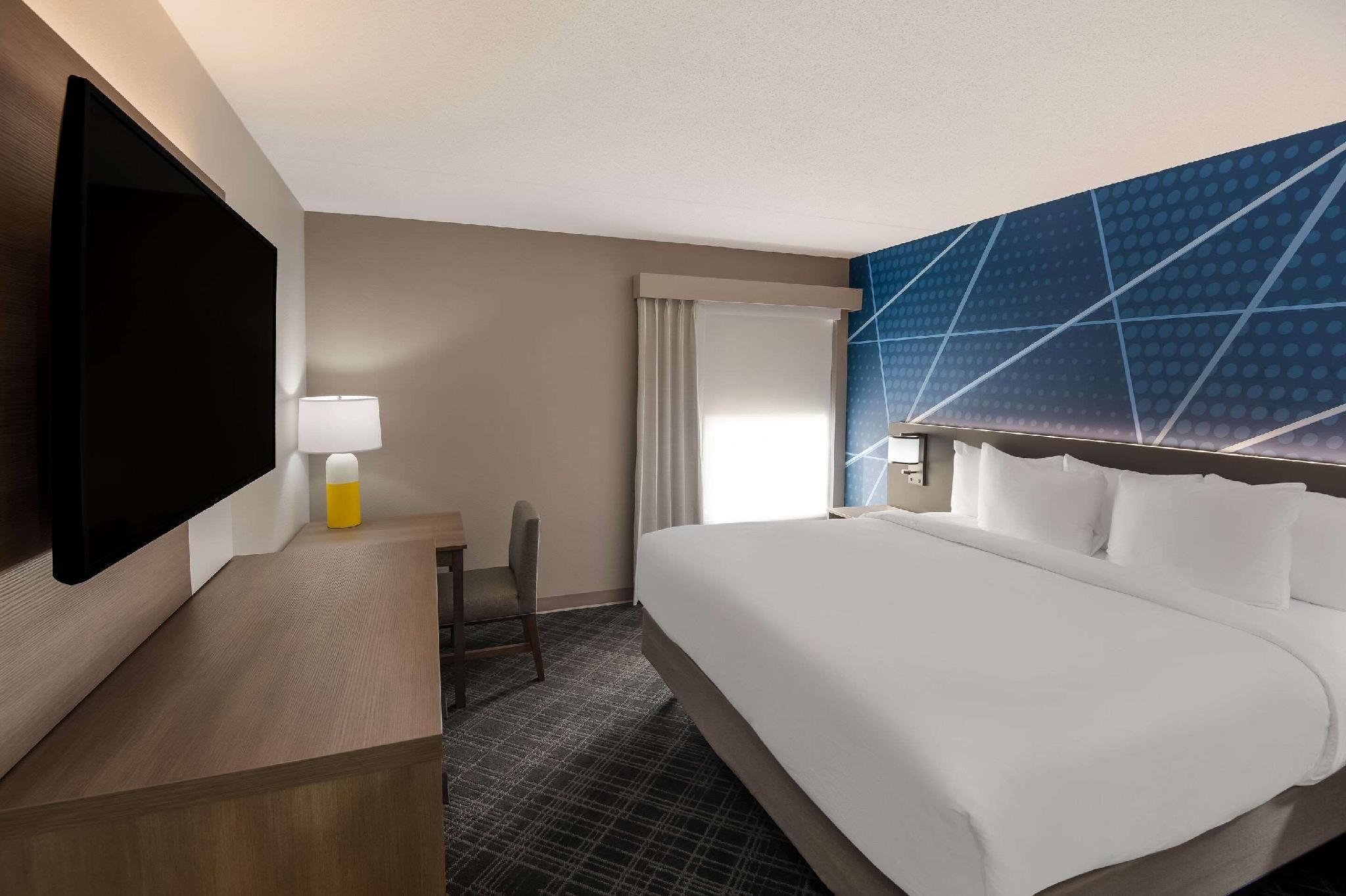 1 King Bed,Non-Smoking, Accessible