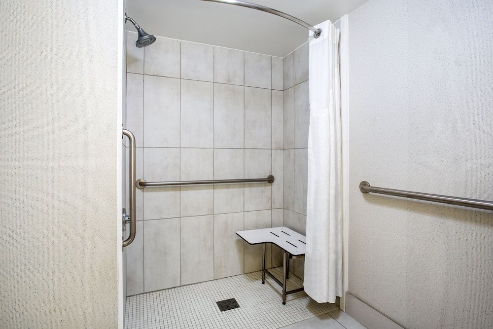 Standard Room, 1 King Bed, Accessible, Non Smoking (Communications, Roll In Shower)