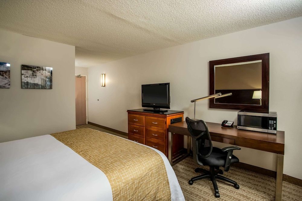 Room, 1 King Bed, Accessible, Non Smoking (Mobility Room)