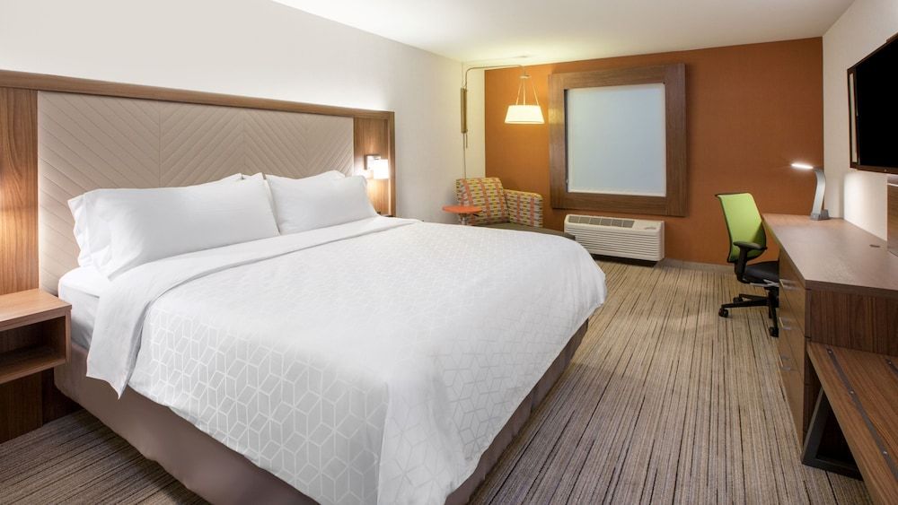 Suite, 1 King Bed with Sofa bed