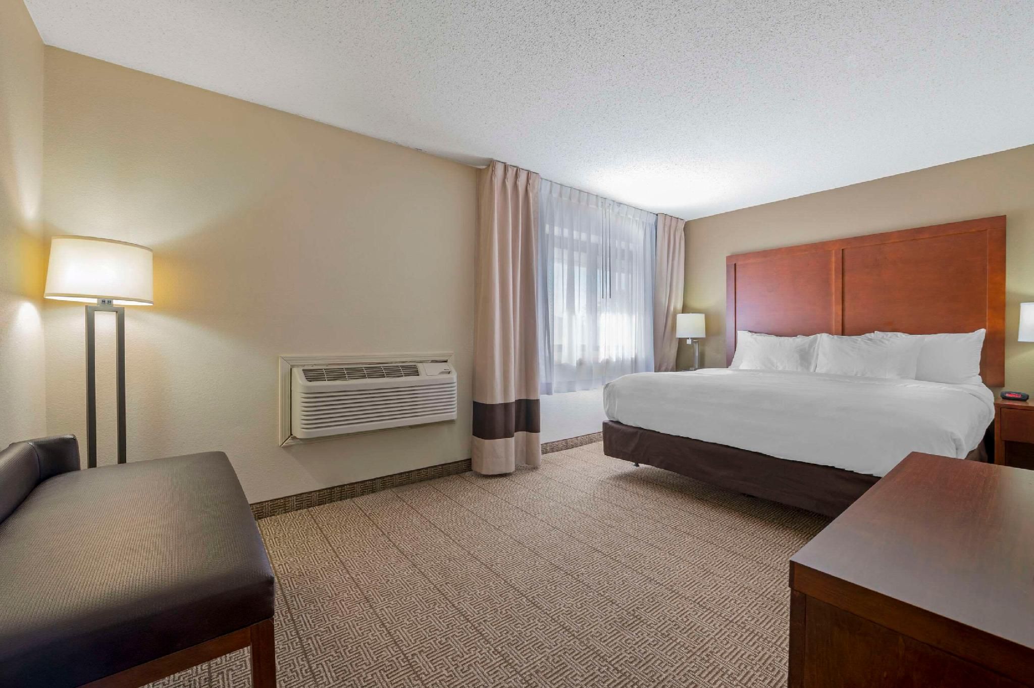 1 King Bed, Suite, Nonsmoking