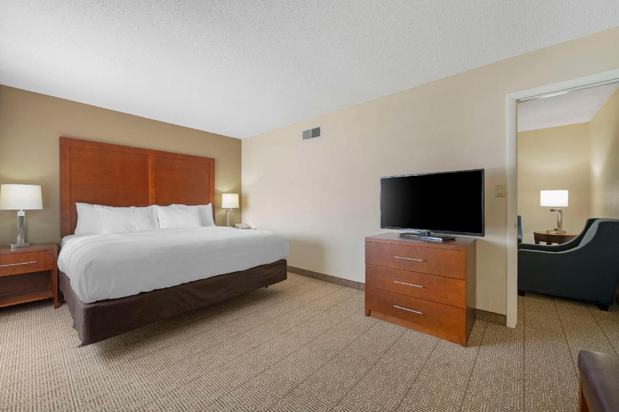 1 King Bed, Suite, Nonsmoking