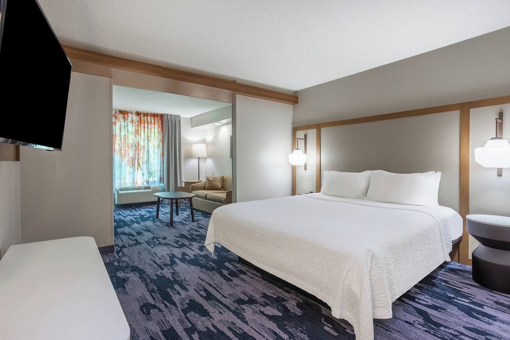 Suite, 1 King Bed with Sofa bed