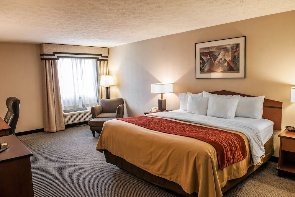 Room, 1 King Bed, Non Smoking