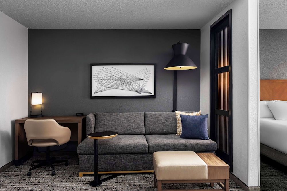 Room, 1 King Bed with Sofa bed, Accessible, Bathtub