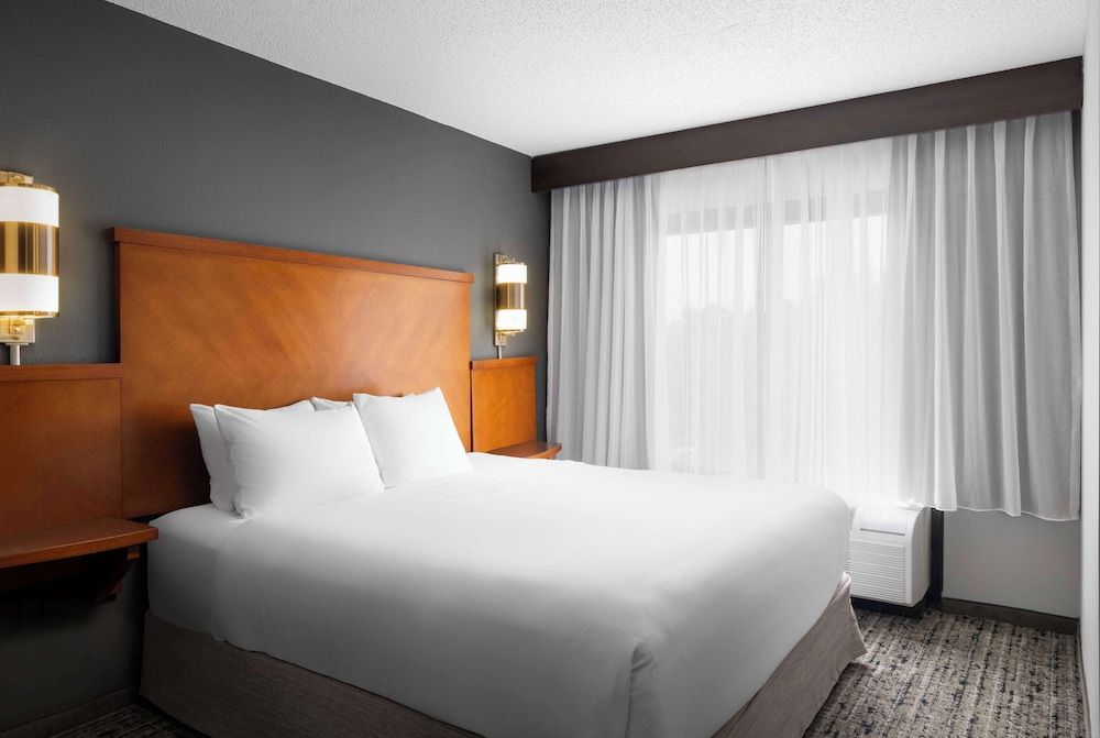Room, 1 King Bed with Sofa bed (High Floor)