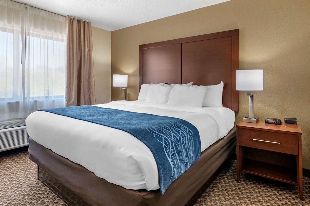 Standard Room, 1 King Bed, Non Smoking