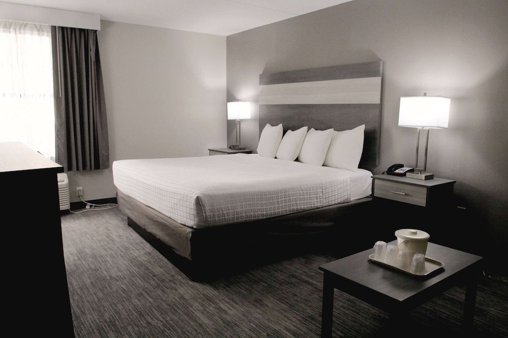 Room, 1 King Bed, Non Smoking