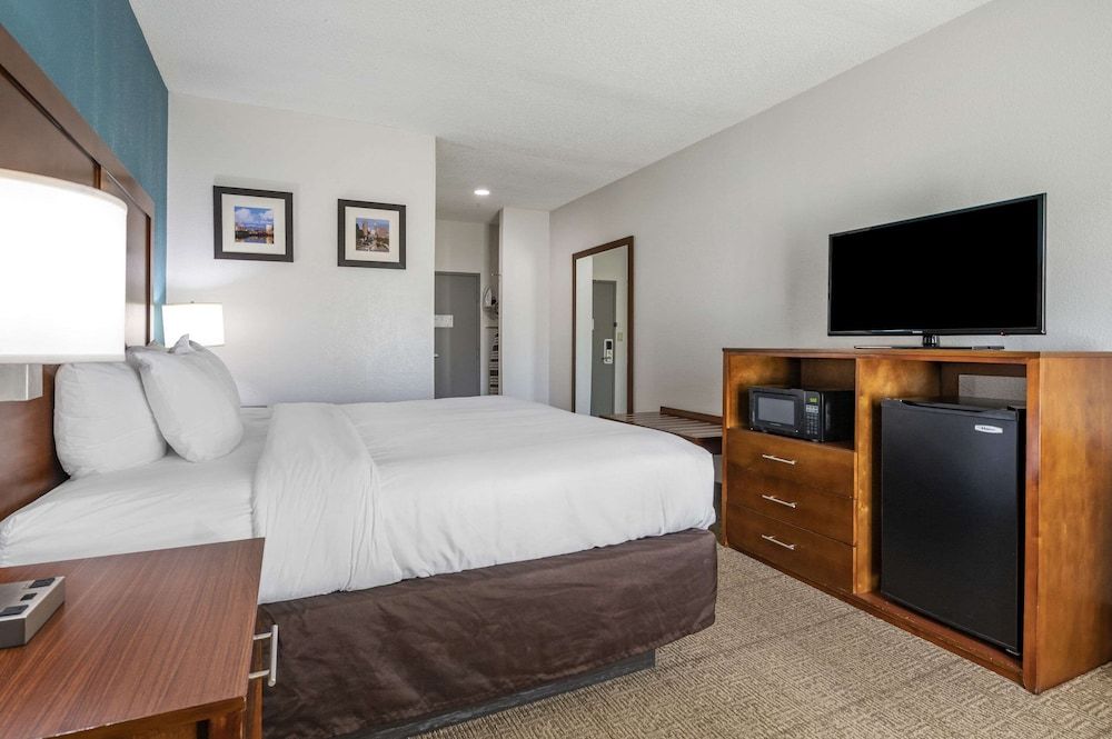 Standard Room, 1 King Bed, Non Smoking