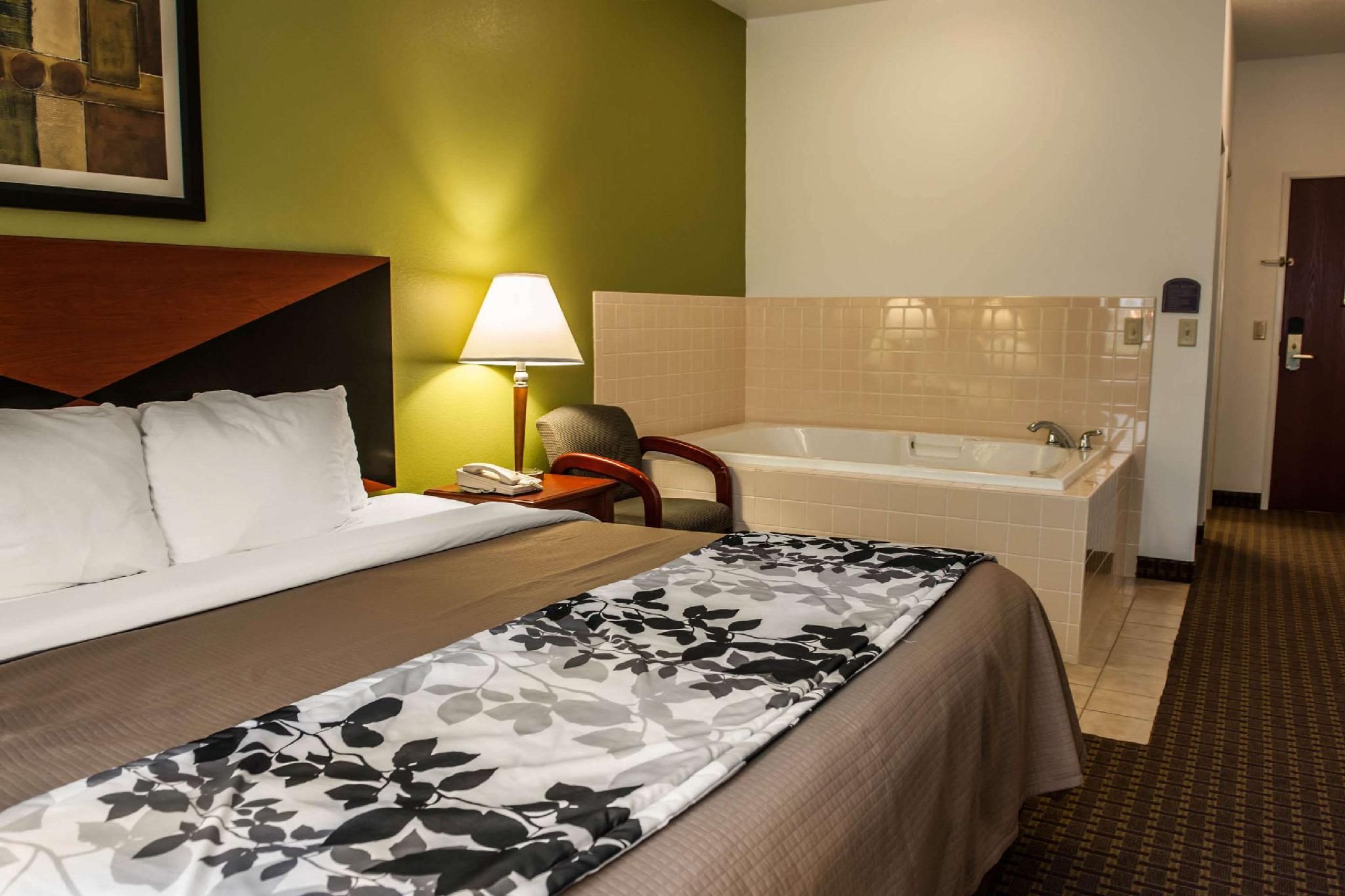 1 King Bed, Suite, Nonsmoking