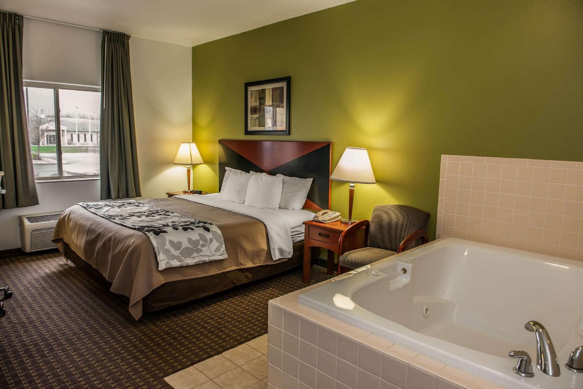 1 King Bed, Suite, Nonsmoking