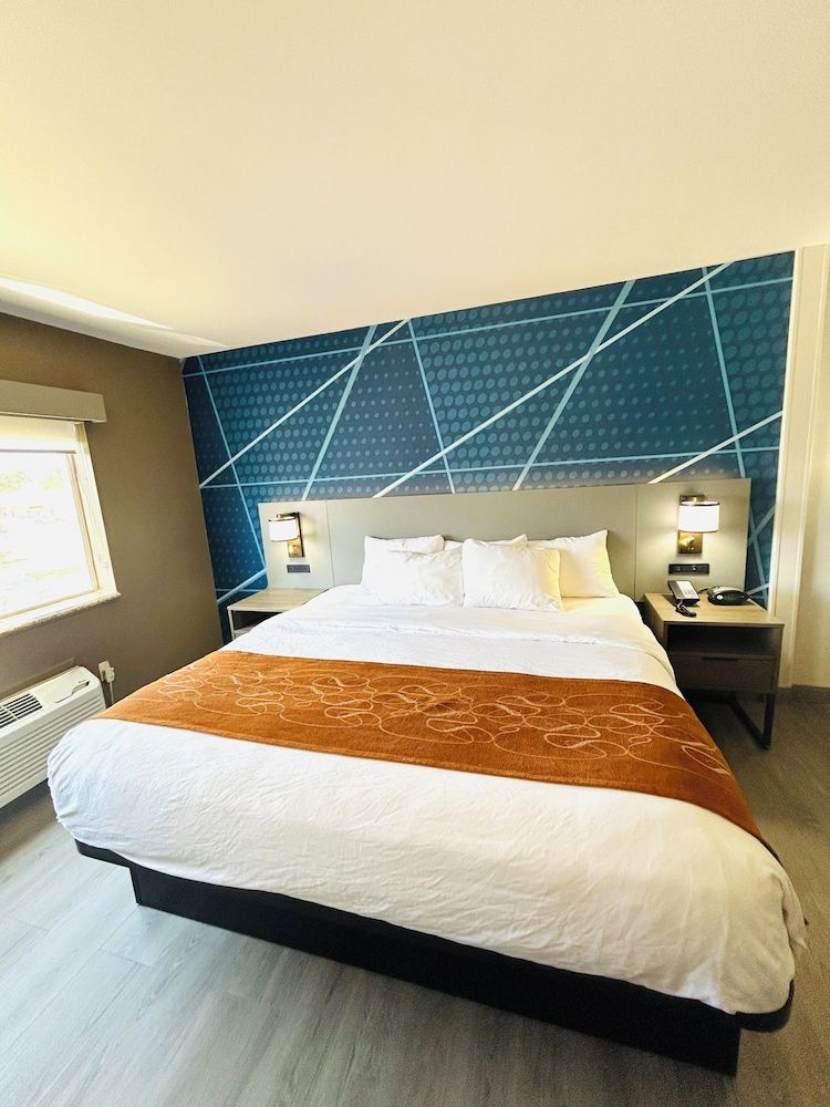 Suite, 1 King Bed with Sofa bed, Non Smoking