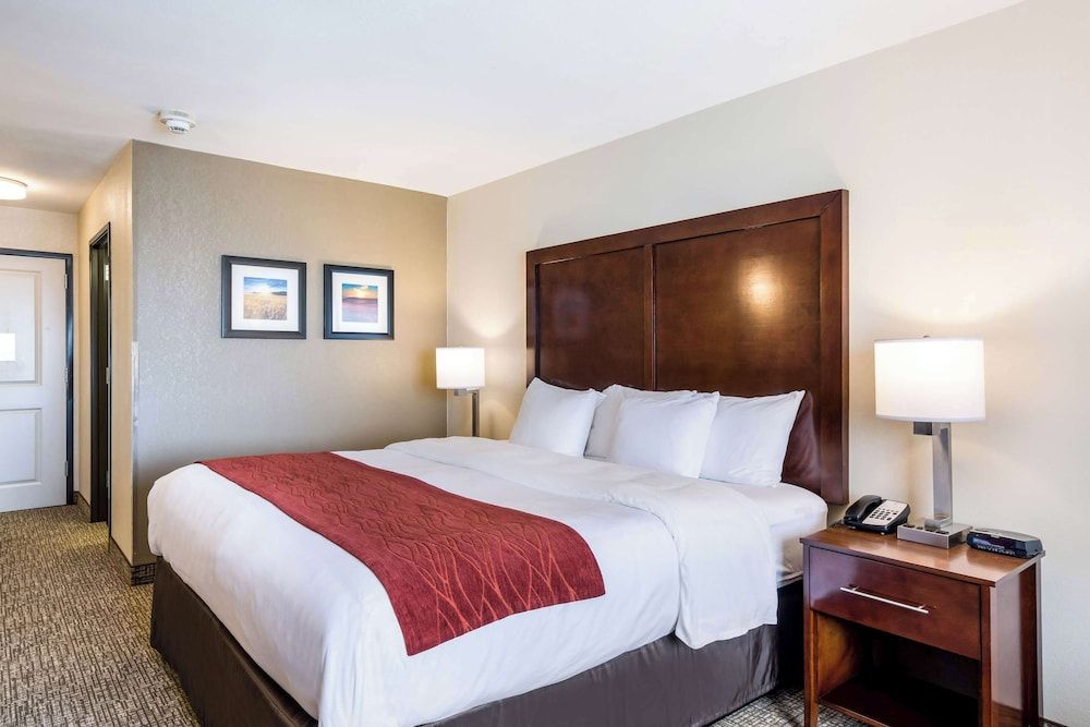 Room, 1 King Bed, Non Smoking