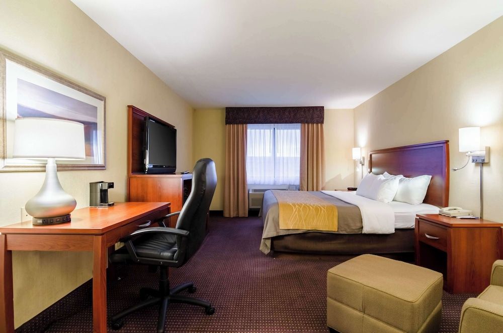 Standard Room, 1 King Bed, Non Smoking