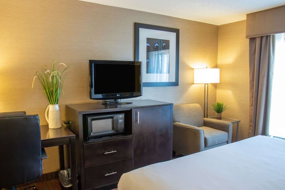 Room, 1 King Bed, Non Smoking