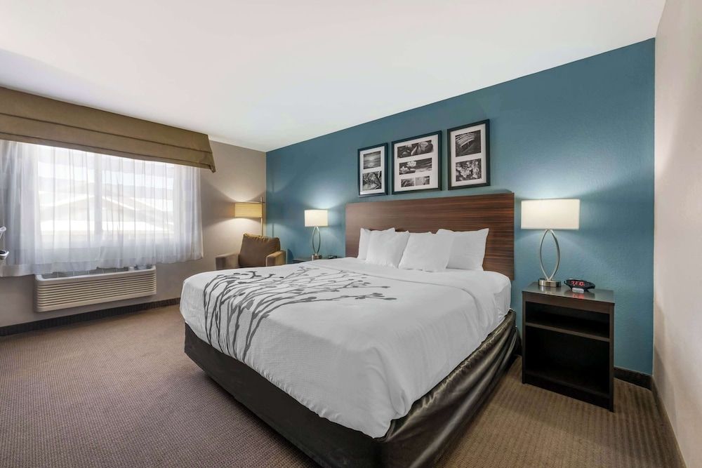 Standard Room, 1 King Bed, Non Smoking