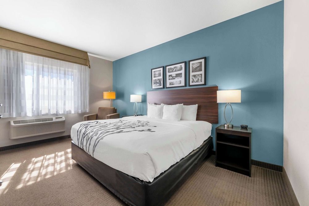 Room, 1 King Bed, Accessible, Non Smoking