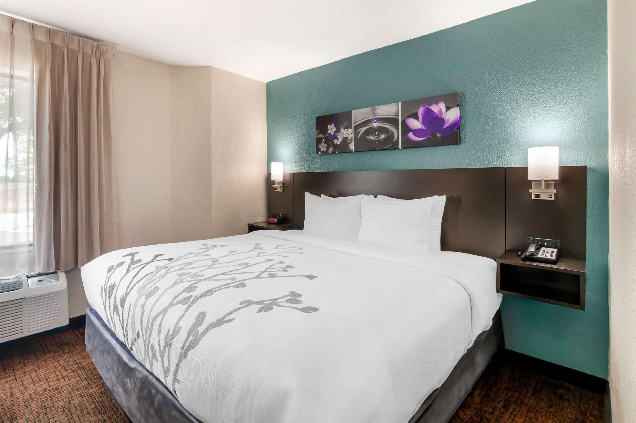 1 King Bed, Nonsmoking, Accessible