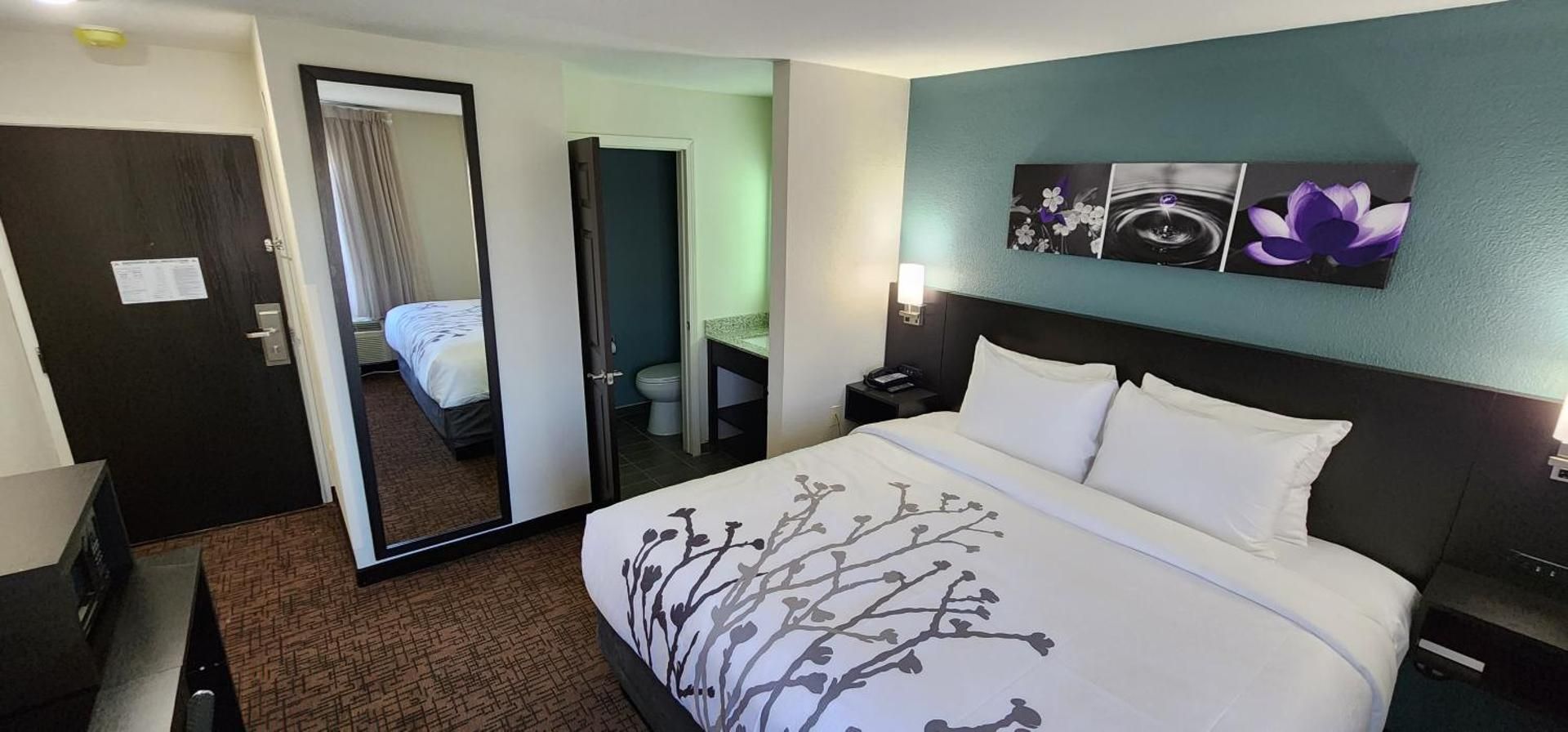 Single Room with Roll-In Shower - Disability Access/Non Smoking