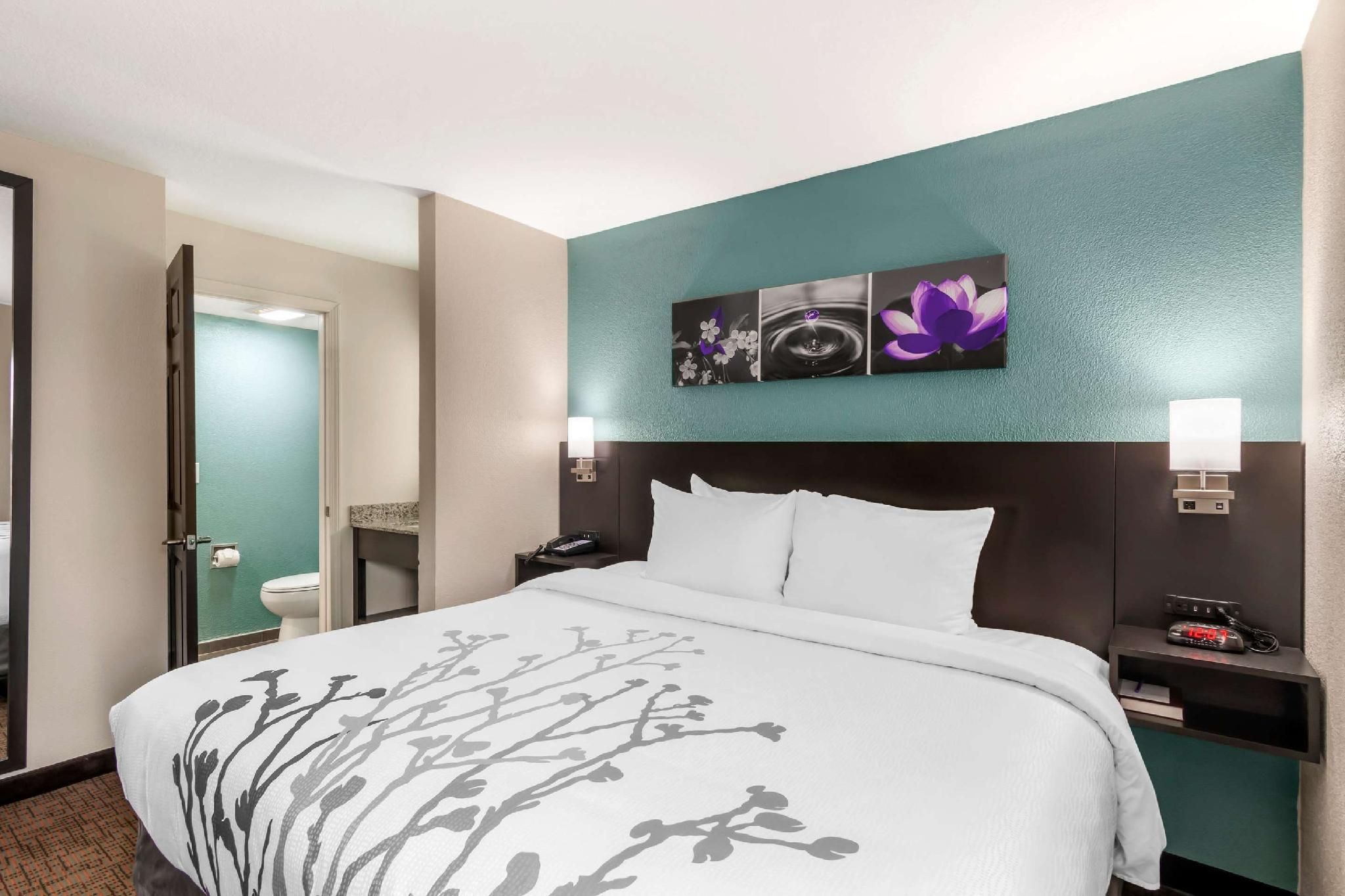 1 King Bed, Nonsmoking
