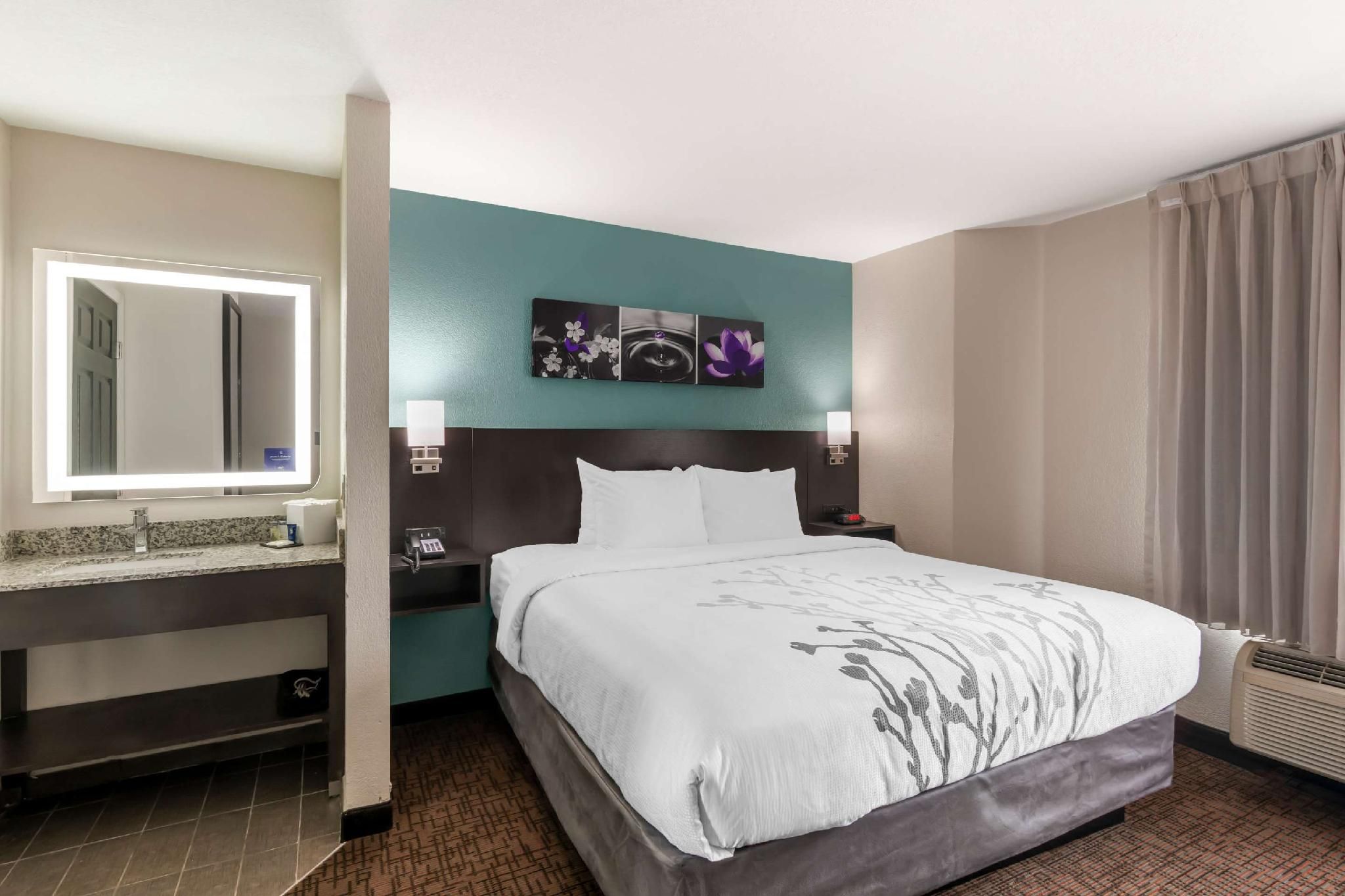 1 King Bed, Nonsmoking