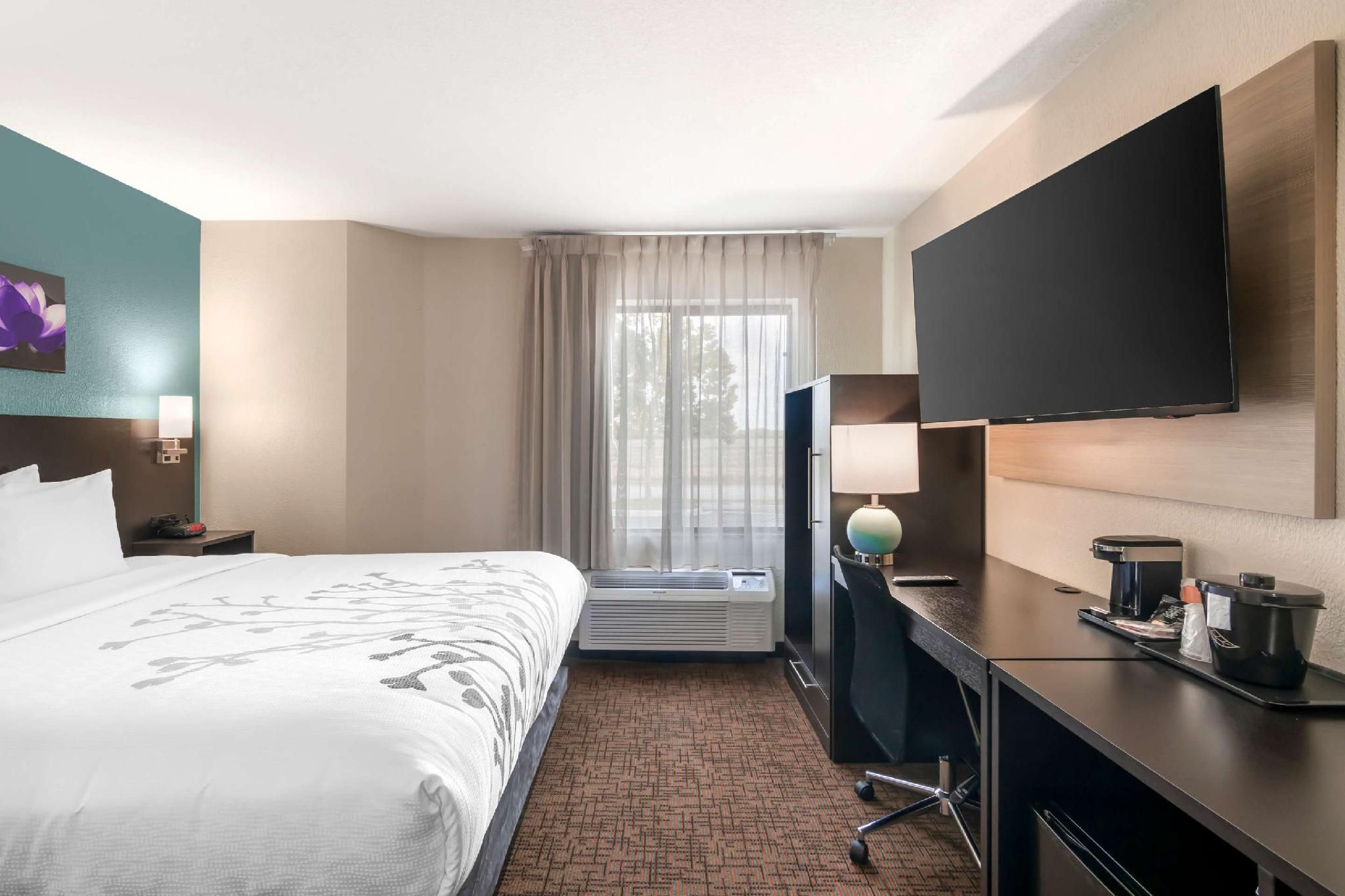 1 King Bed, Non-Smoking