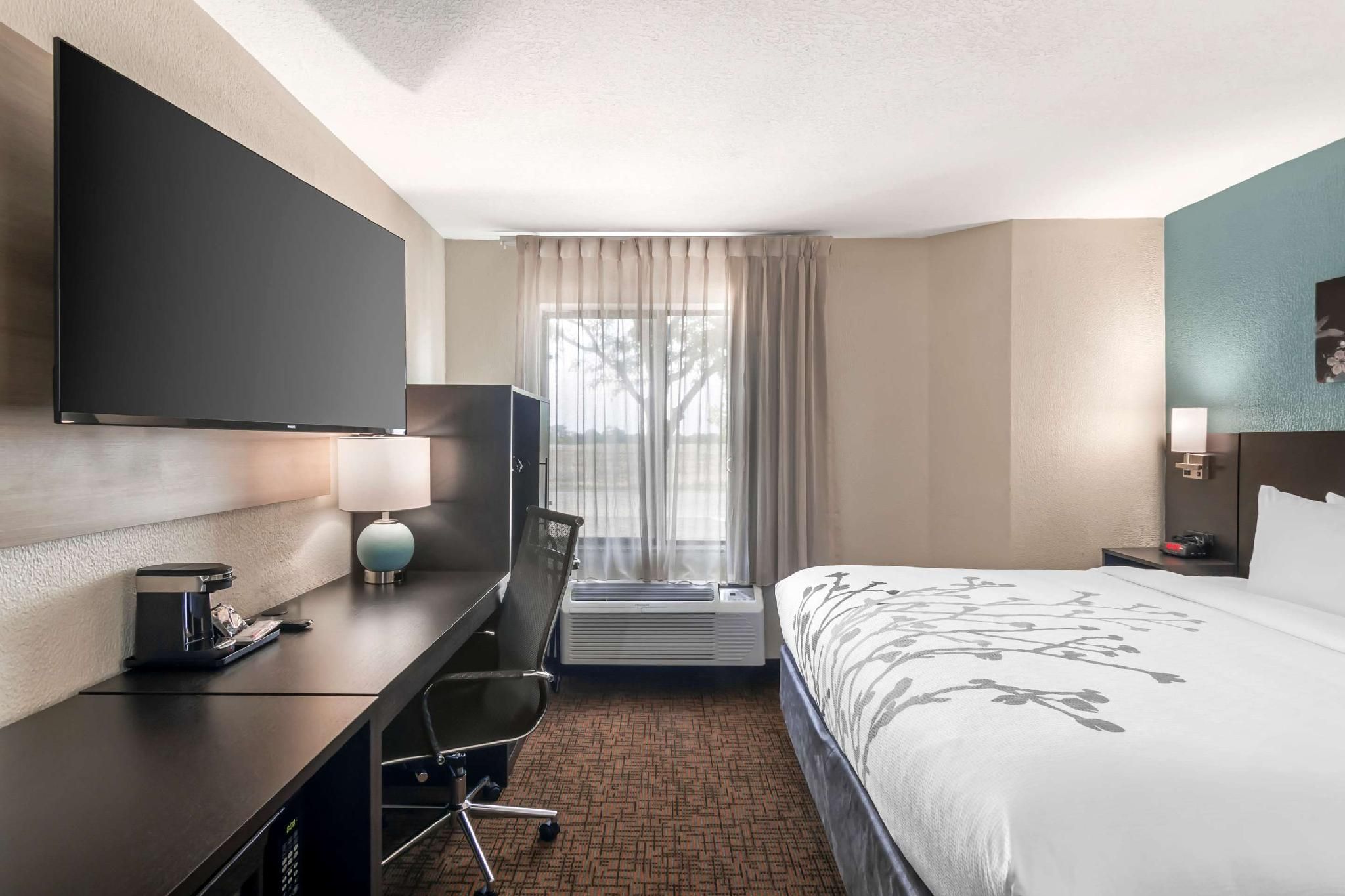 1 King Bed, Nonsmoking, Accessible