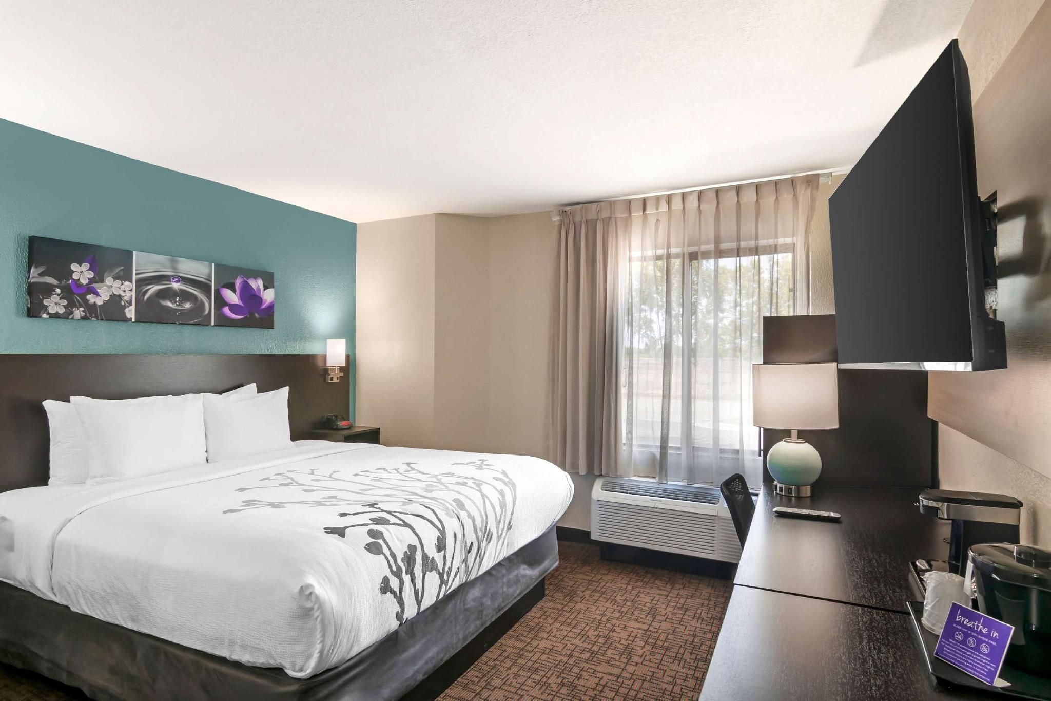 1 King Bed, Non-Smoking