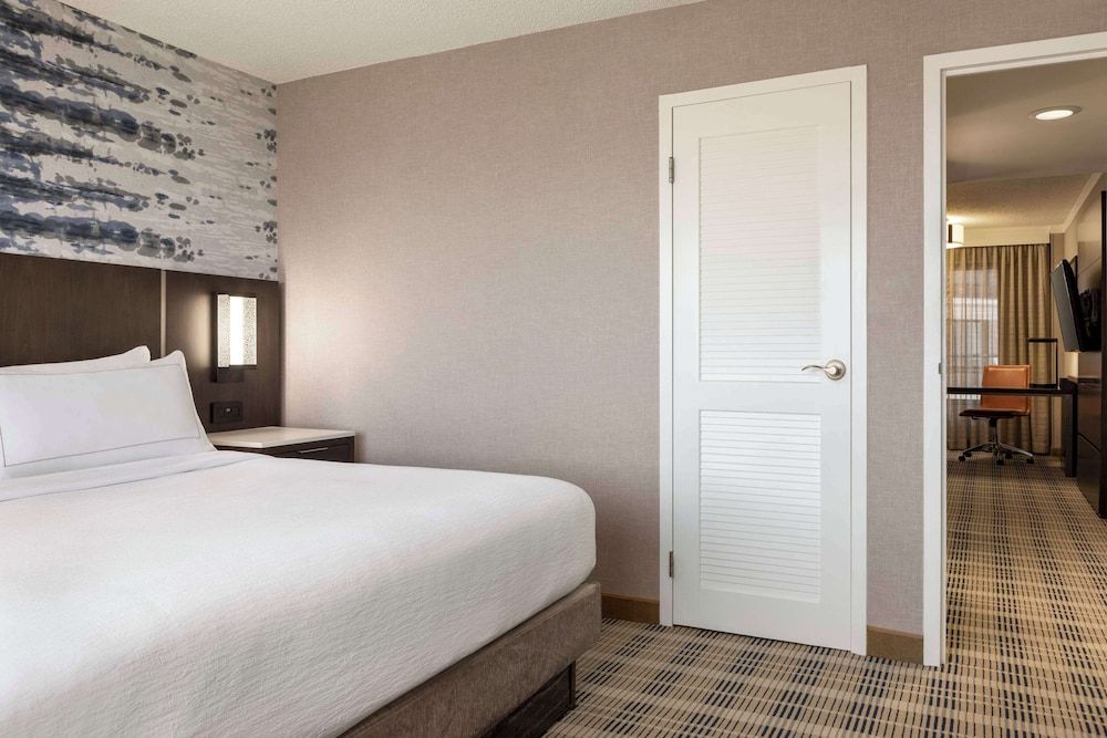 Suite, 1 King Bed with Sofa bed