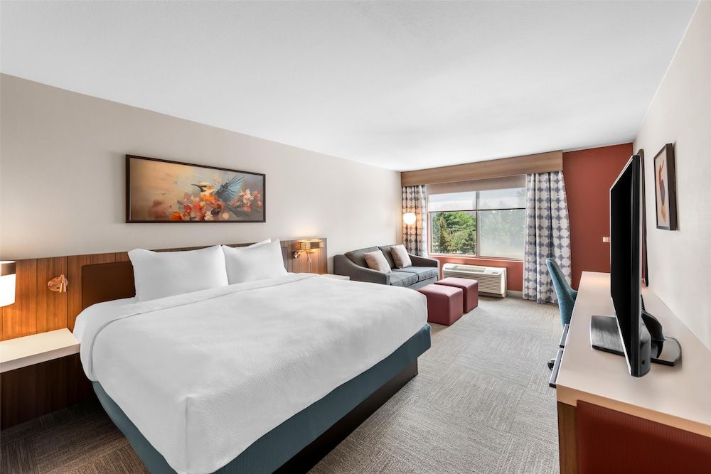 Room, 1 King Bed (W/Drinks-Snacks)