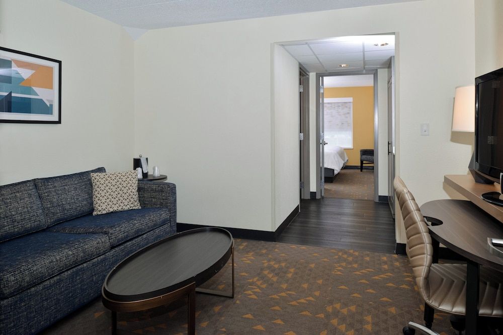 Suite, 1 King Bed with Sofa bed