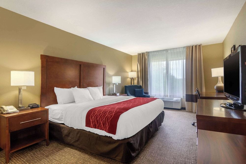 Standard Room, 1 King Bed, Non Smoking