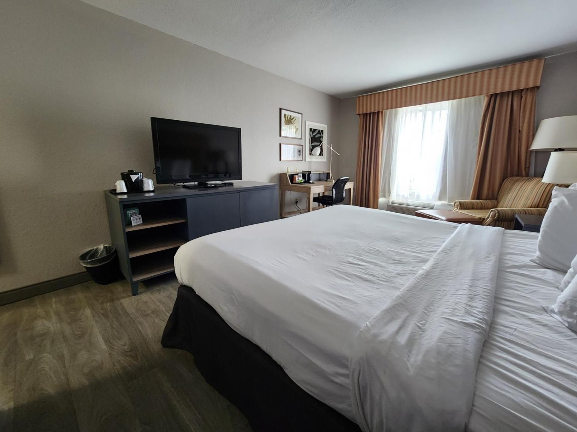 1 King Bed, Nonsmoking