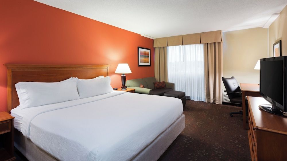 Suite, 1 King Bed with Sofa bed